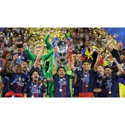 Paris Saint-Germain besiegte Arsenal im Elfmeterschießen mit 5-4 und sicherte sich damit den Titel.
